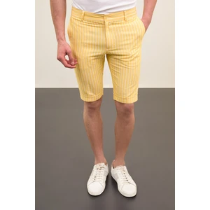 Çizgili Super Slim Fit Keten Erkek Şort