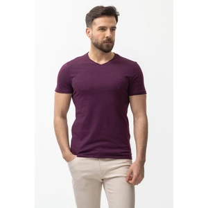 Desenli Slim Fit V Yaka Basic Erkek T-Shirt