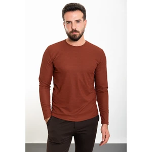 Düz Kiremit Rengi Slim Fit Bisiklet Yaka Uzun Kollu Erkek T-Shirt