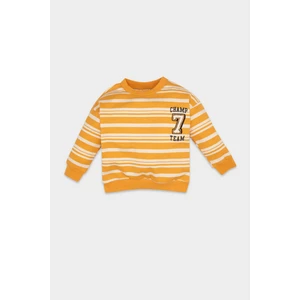Erkek Bebek Bisiklet Yaka Çizgili İçi Yumuşak Tüylü Sweatshirt D4475A524AU