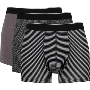 Regular Fit 3'lü Boxer C9558AX24WN