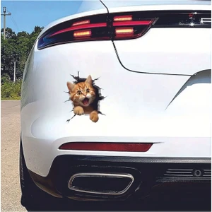 Kedi 3D Sticker Uv Soğuk Baskı Etiket Oto Aksesuar Suv Otomobil Motor Elektrikli Bisiklet