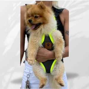 Epatim Kedi Köpek Ana Kucağı