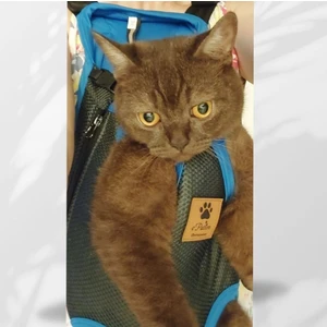 Epatim Kedi ve Köpek Ana Kucağı