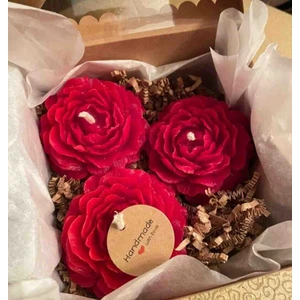 Meltt Candle 4'lü Kırmızı Şakayık Mum
