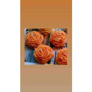 Meltt Candle 4'lü Turuncu Şakayık Mum