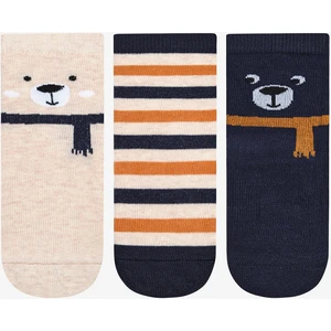 Erkek Çocuk Cold Bear 3lü Çok Renkli Soket Çorap