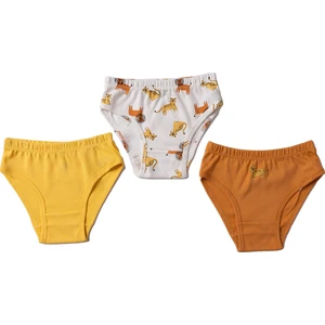 Erkek Bebek 3lü Slip Külot