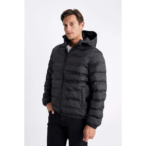 Su İtici Şişme Mont Slim Fit Dar Kesim Kapüşonlu Fermuarlı Cepli D1185AX24WN