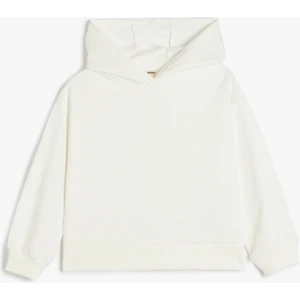 Basic Kapşonlu Sweatshirt Uzun Kollu Pamuklu