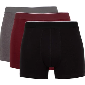 Regular Fit 3'lü Boxer C9550AX24AU