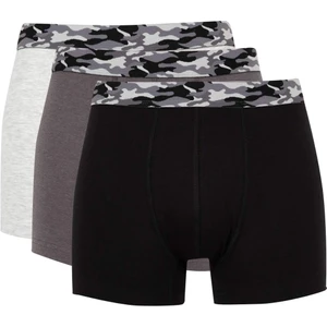 Regular Fit 3'lü Boxer C1536AX24AU