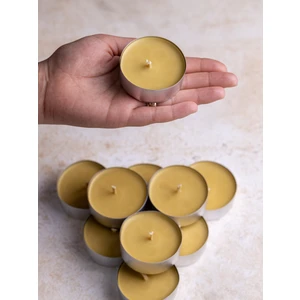 DG Concept Maxi Tealight Mum Balmumu  3 Adet