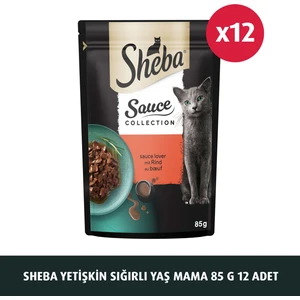 Yetişkin Sığırlı Yaş Mama 85 G 12x