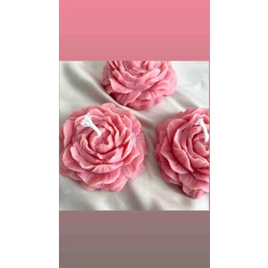 Meltt Candle 4'lü Pembe Şakayık Mum