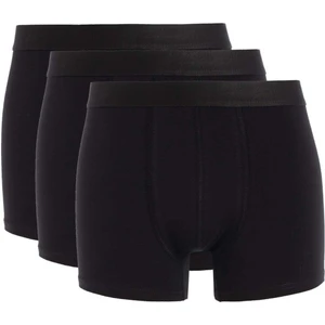 Regular Fit 3'lü Boxer N4277AZ24AU