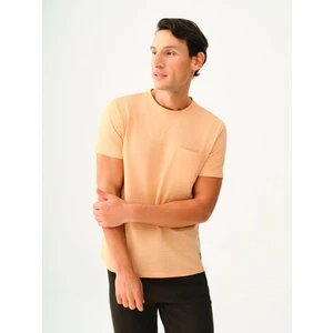 Regular Fit Erkek Tshirt K.kol