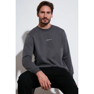 Pamuklu Regular Fit Bisiklet Yaka Sweat Erkek Sweat 59050121