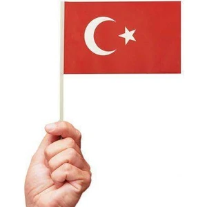 Parti Dükkanım Ay Yıldızlı Çıtalı Bayrak 24 cm 10 Adet
