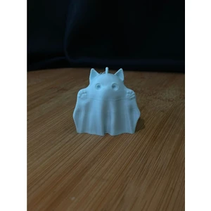 Hayalet Kedi Anahtarlık