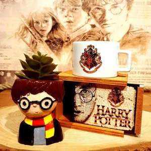 Harry Potter Skulent Saksı ve Harry Potter Kupa