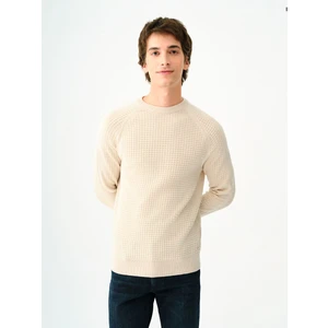 Regular Fit Erkek Kazak