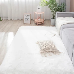 Yıkanabilir Yumuşak Peluş Post Çocuk Odası Oturma Odası Salon Mutfak Halısı