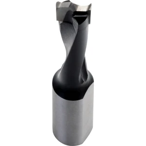 Ahşap Freze Bıçağı  22M-10070010R   Sert Zemin Düble Matkap  Freze Ucu Sap 10 mm