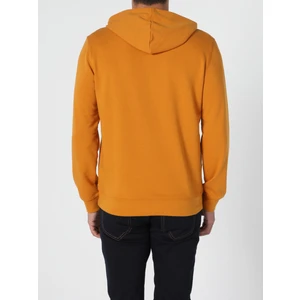 Regular Fit   Erkek Sari Sweatshirt