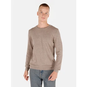 Regular Fit Bisiklet Yaka Erkek Bej Kazak Cl1046786