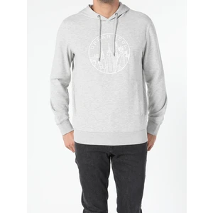 Regular Fit   Erkek Gri Sweatshirt