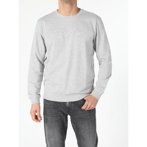 Regular Fit   Erkek Gri Sweatshirt