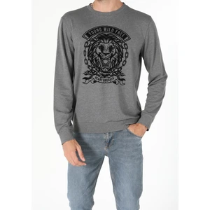 Regular Fit   Erkek Antrasit Sweatshirt