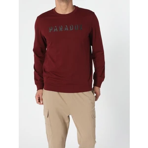 Regular Fit   Erkek Kahverengi Sweatshirt
