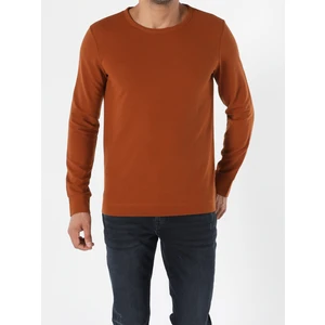 Regular Fit   Erkek Kahverengi  Tişört