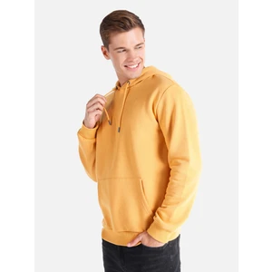 Regular Fit Kapüşonlu Sarı Erkek Sweatshirt Cl1059712