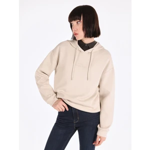Regular Fit Kapüşonlu Baskılı Kadın Bej Sweatshirt