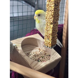 Ahşap Muhabbet Kuş Yemliği