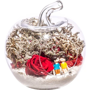 Teraryum Solmayan Gül Aşk Ateşi