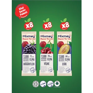 Ekşi Sever Meyve Bar 24 Adet | Vegan, Glutensiz, Sağlıklı Vegan Atıştırmalık - 20gr X 24 Adet