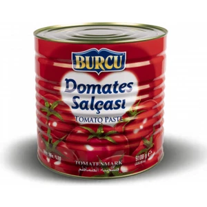 9100  Gram  Burcu  Domates Salçası