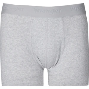 Regular Fit Normal Kesim Gri Tekli Boxer