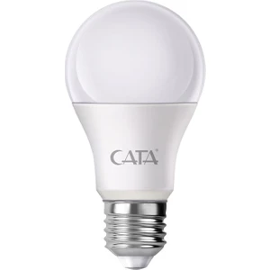 9W LED Ampül