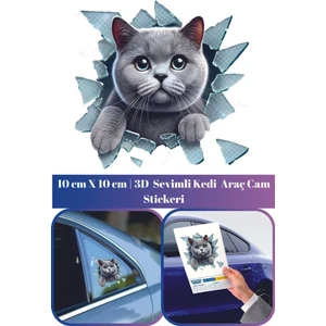 3D Sevimli Kedi Tasarımlı Eğlenceli Araç Stickeri Oto Aksesuar  10*10CM