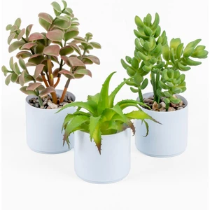 Beyaz Renkli Saksıda Yapay Kaktüs Sukulent