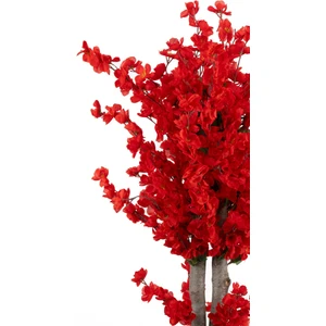 Siyah Saksıda Kırmızı Renkli 120 cm Japon Bahardalı Ağacı