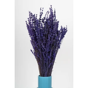 Şoklanmış Lavanta Demeti
