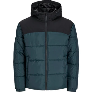 Jack & Jones Jjmoon Hood Puffer Erkek Mont 12256882