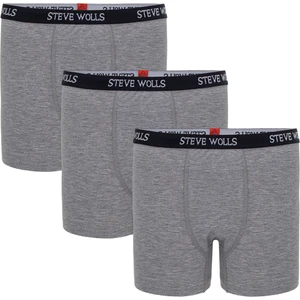Steve Wolls Gri 3’Lü Çocuk Boxer - 22001