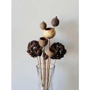 B'clara Home Tropikal Natürel Dekoratif Kuru Çiçek Vazo Çiçeği